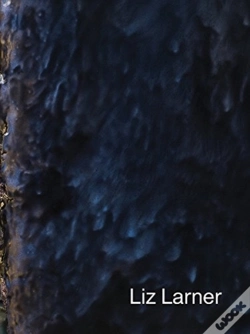 Capa do artigo Liz Larner