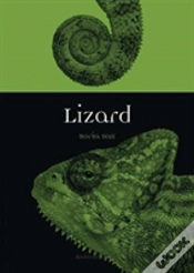 Capa do artigo Lizard