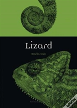 Capa do artigo Lizard