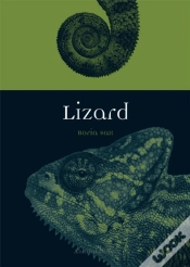 Capa do artigo Lizard