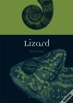 Capa do artigo Lizard
