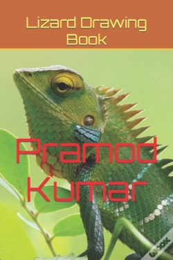 Capa do artigo Lizard Drawing Book
