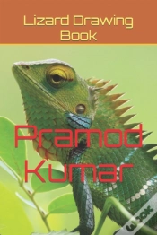 Capa do artigo Lizard Drawing Book