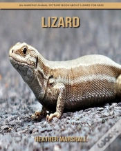 Capa do artigo Lizard