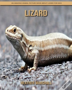 Capa do artigo Lizard
