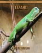 Lizard - Preview