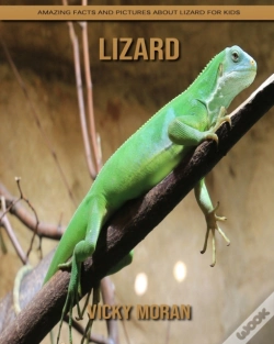 Capa do artigo Lizard