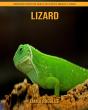 Lizard - Preview