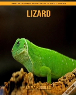 Capa do artigo Lizard