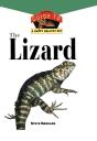 Lizard - Preview