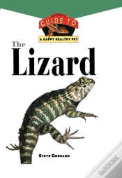 Capa do artigo Lizard
