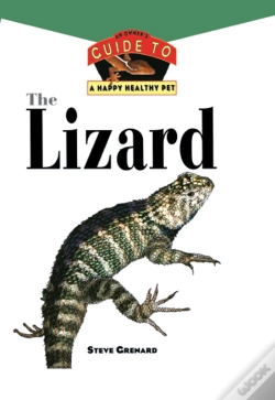 Capa do artigo Lizard