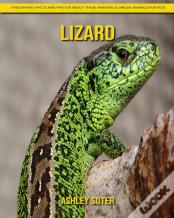 Lizard