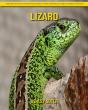 Lizard - Preview