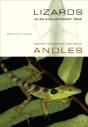 Lizards In An Evolutionary Tree - Preview