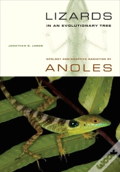 Capa do artigo Lizards In An Evolutionary Tree