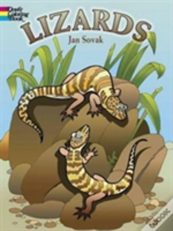 Capa do artigo Lizards
