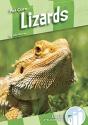 Lizards - Preview