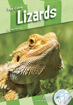 Capa do artigo Lizards
