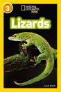 Lizards - Preview