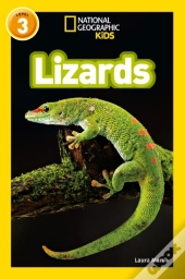 Lizards