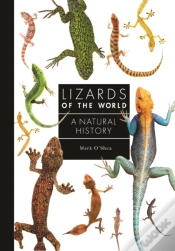 Capa do artigo Lizards Of The World