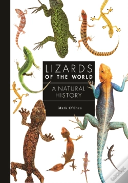 Capa do artigo Lizards Of The World