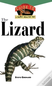 Capa do artigo Lizards