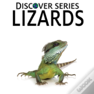 Lizards