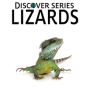 Lizards - Preview