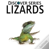 Capa do artigo Lizards