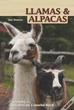 Capa do artigo Llamas And Alpacas