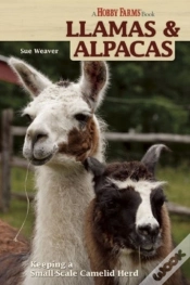 Capa do artigo Llamas And Alpacas