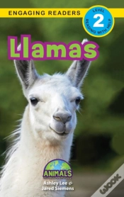 Capa do artigo Llamas