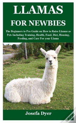 Capa do artigo Llamas For Newbies