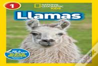 Llamas (L1)