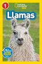 Llamas (L1) - Preview