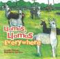 Llamas, Llamas Everywhere - Preview