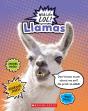 Llamas (Wild Life Lol!) - Preview