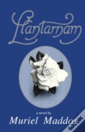 Capa do artigo Llantarnam