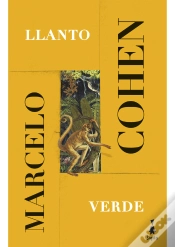 Capa do artigo Llanto Verde
