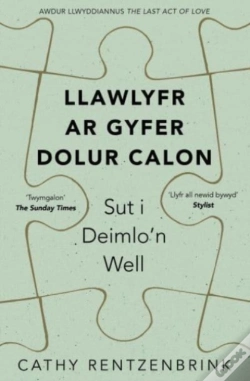 Capa do artigo Llawlyfr Ar Gyfer Dolur Calon