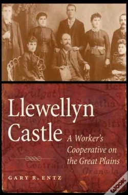 Capa do artigo Llewellyn Castle