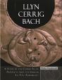 Llyn Cerrig Bach - Preview
