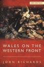 Llywelyn Ap Gruffydd - Preview