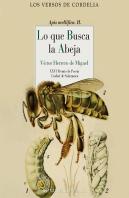 Lo Que Busca La Abeja