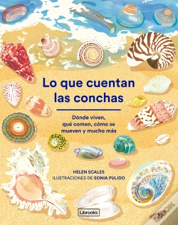 Capa do artigo Lo Que Cuentan Las Conchas