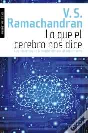 Capa do artigo Lo Que El Cerebro Nos Dice
