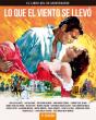 Lo Que El Viento Se Llevo El Libro Del 80 Aniversario 2ª E - Preview