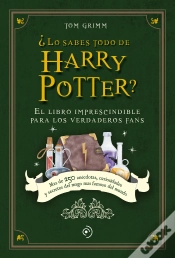 Capa do artigo ¿Lo Sabes Todo De Harry Potter?